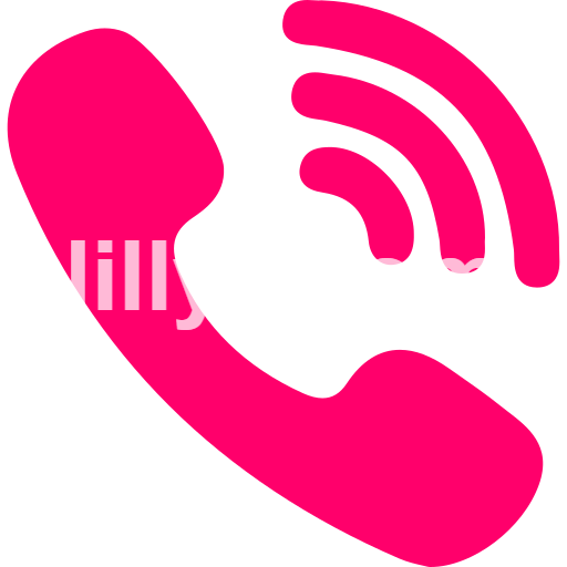 Pune Call Girls service